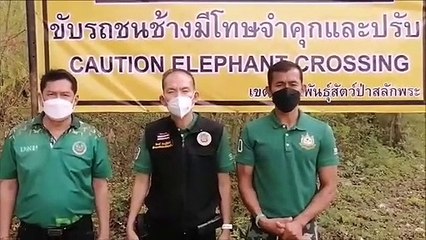 เอาจริง! ขับรถชนช้างป่าสลักพระ เจอคุก 10 ปี ปรับ 1 ล้าน