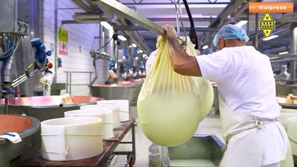 A Grana Padano il Tespi Award per lo spot “Grazie”