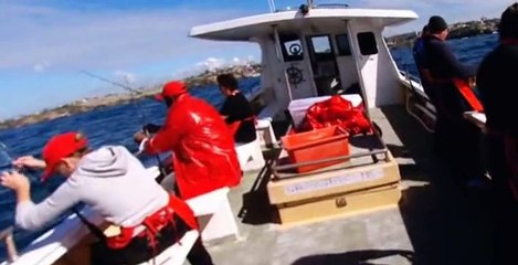 MasterChef Australia S01 E33