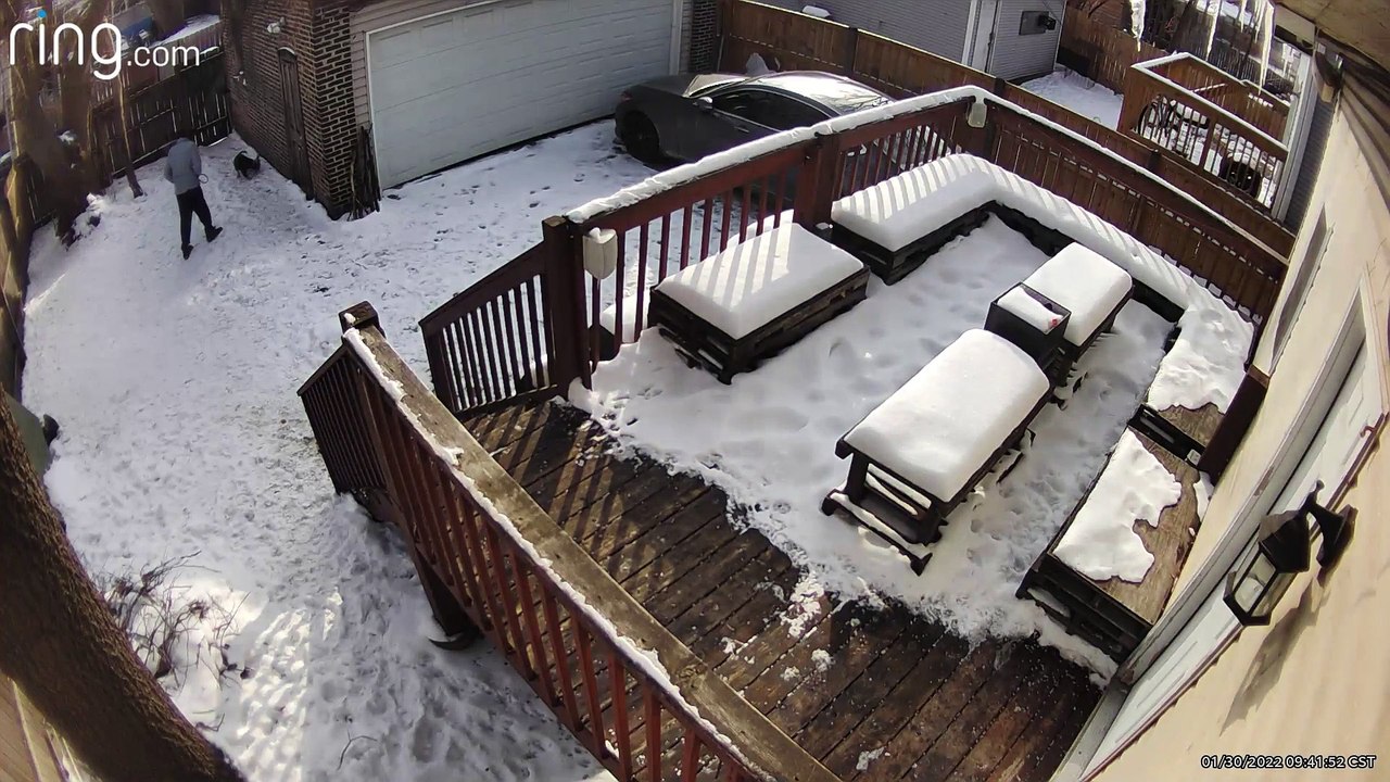 Dog Fakes Out Owner into a Fall