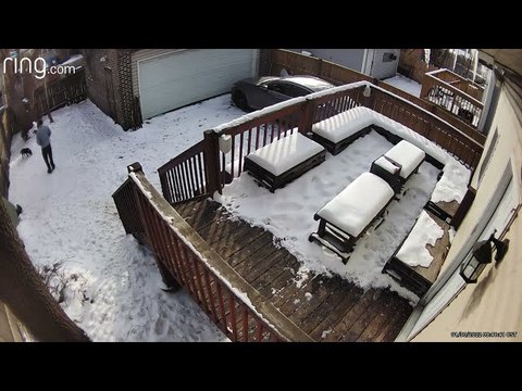 Dog Fakes Out Owner into a Fall