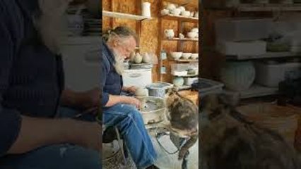 Cat Plays With Pottery Wheel