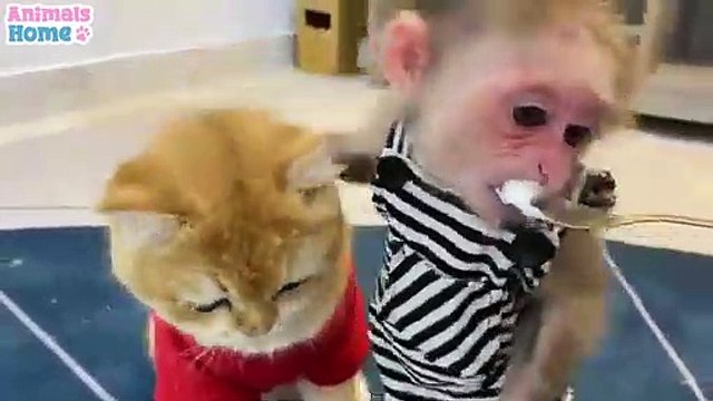 New Korean Mix Hindi Songs 2021 Korean Drama Chinese Love Story Song Kore