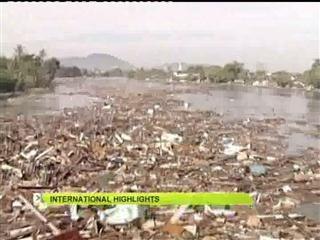 International highlights