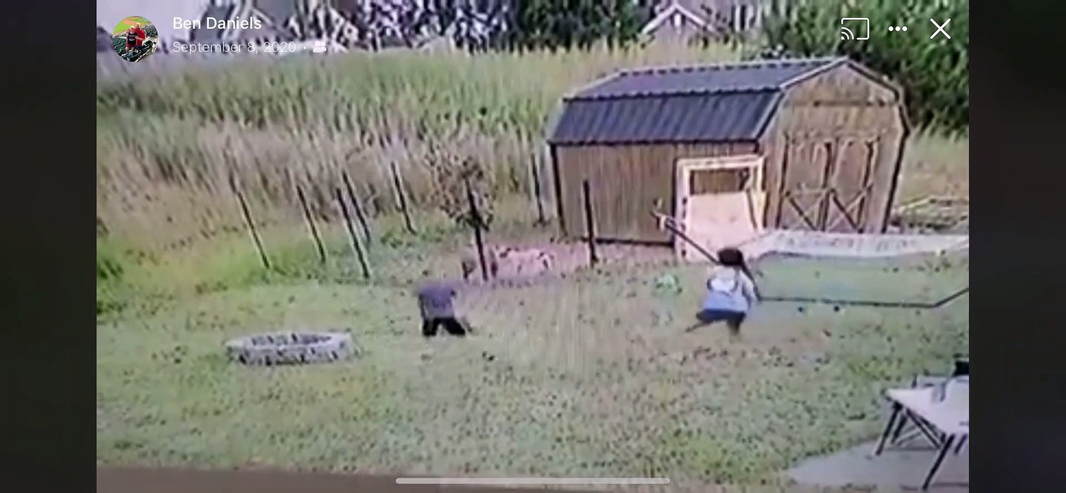 Kid Gets Hit in Face with Dodgeball and Falls in Firepit