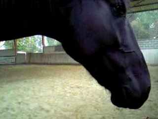 mon bébé et ma fifi