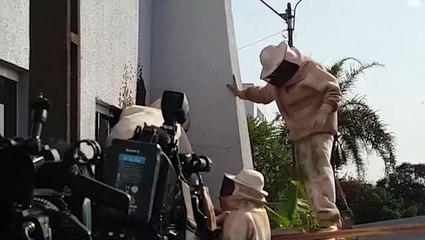 Enxame de abelhas na Sede da Guarda Municipal de Cascavel é retirado pela Defesa Civil