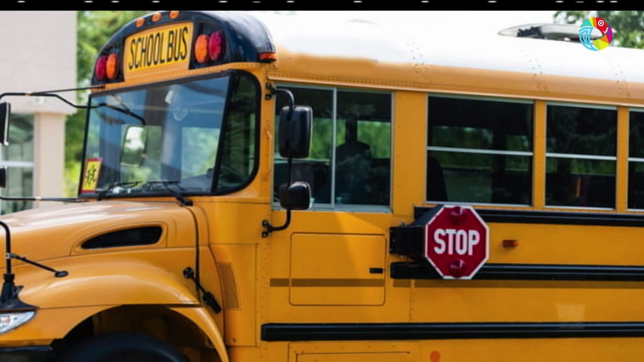 Requisitos de buses y busetas escolares