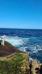 Video: así devoró un tiburón blanco a un nadador en Australia.