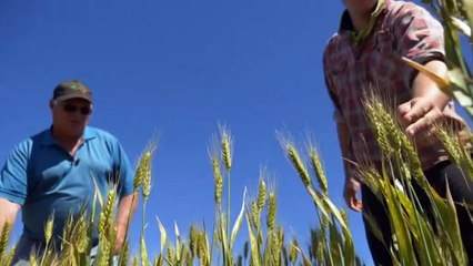 Farmers raise concerns over big technology shift