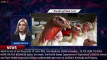 Tyson Foods' chickens infected with bird flu, company ramps up biosecurity measures - 1breakingnews.
