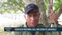 Destinasi Wisata Labuan Bajo Turut Terdampak Pandemi Covid-19, Pekerja Merasa Pendapat Berkurang