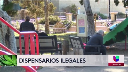 Estrategia conjunta logra limitar dispensarios ilegales de marihuana en San Diego