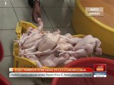 Pusat sembelih ayam gagal patuhi standard halal