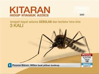 Kitaran hidup nyamuk aedes