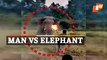 Rampaging Elephant Vs Forest Guard | What It Takes To Stop A Jumbo