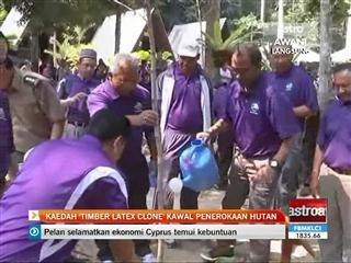 Kaedah 'Timber Latex Clone' kawal penerokaan hutan