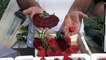 Israeli strawberry wins Guinness record as world's heaviest