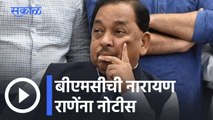 Narayan Rane l बीएमसीची नारायण राणेंना नोटीस; पुन्हा शिवसेना वि. राणे? l Sakal