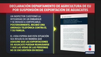 Suspensión de exportaciones de aguacate es temporal: Gobernador de Michoacán