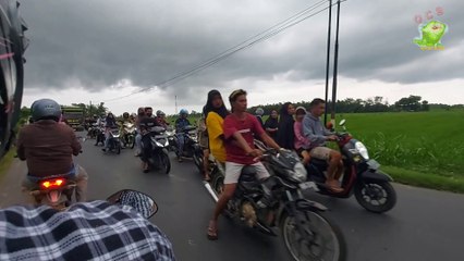 ADAT SASAK NYONGKOLAN || LOMBOK CULTURE