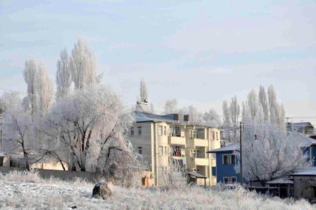 Kars buz kesti, ağaçlar kırağı tuttu
