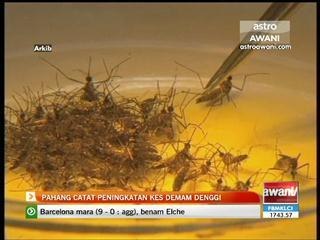 Pahang catat peningkatan kes demam denggi