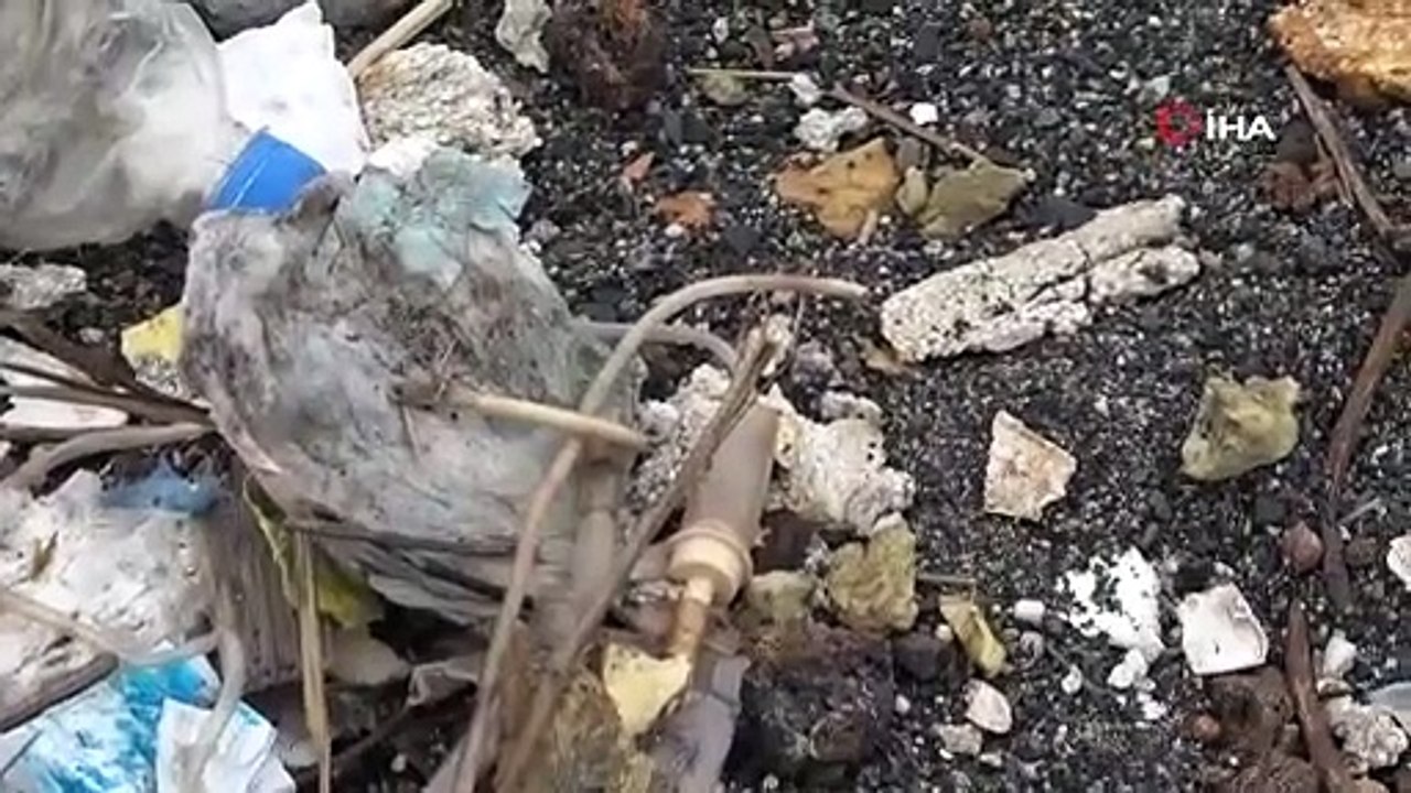 Bu ne rahatlık! Çevre felaketinin ortasında piknik yaptılar