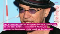 Pascal Obispo : il s'affiche aux côtés de son fils Sean, la ressemblance est frappante