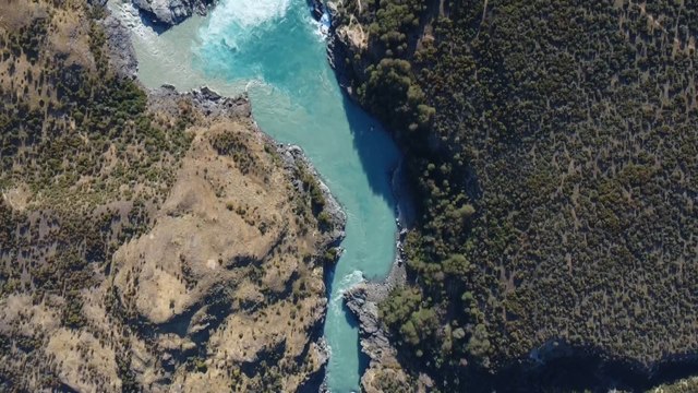 Los cóndores que no sabían volar y ahora surcan los cielos de la Patagonia