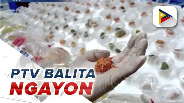 #PTVBalitaNgayon | P3.5-M halaga ng exotic aquatic animals, nasabat ng BOC sa Pasay City; DILG, dinepensahan ang 'Oplan Baklas' ng Comelec