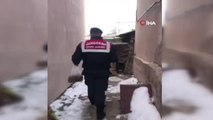Jandarma'dan yürek ısıtan hareket... 150 sokak kedisine annelik yapan kadına mama ve battaniye desteği