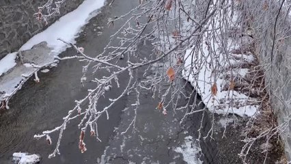 Soğuk hava yaşamı olumsuz etkiliyor