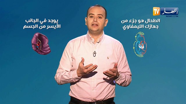 صحة mag: هل مرض تضخم الطحال خطير؟