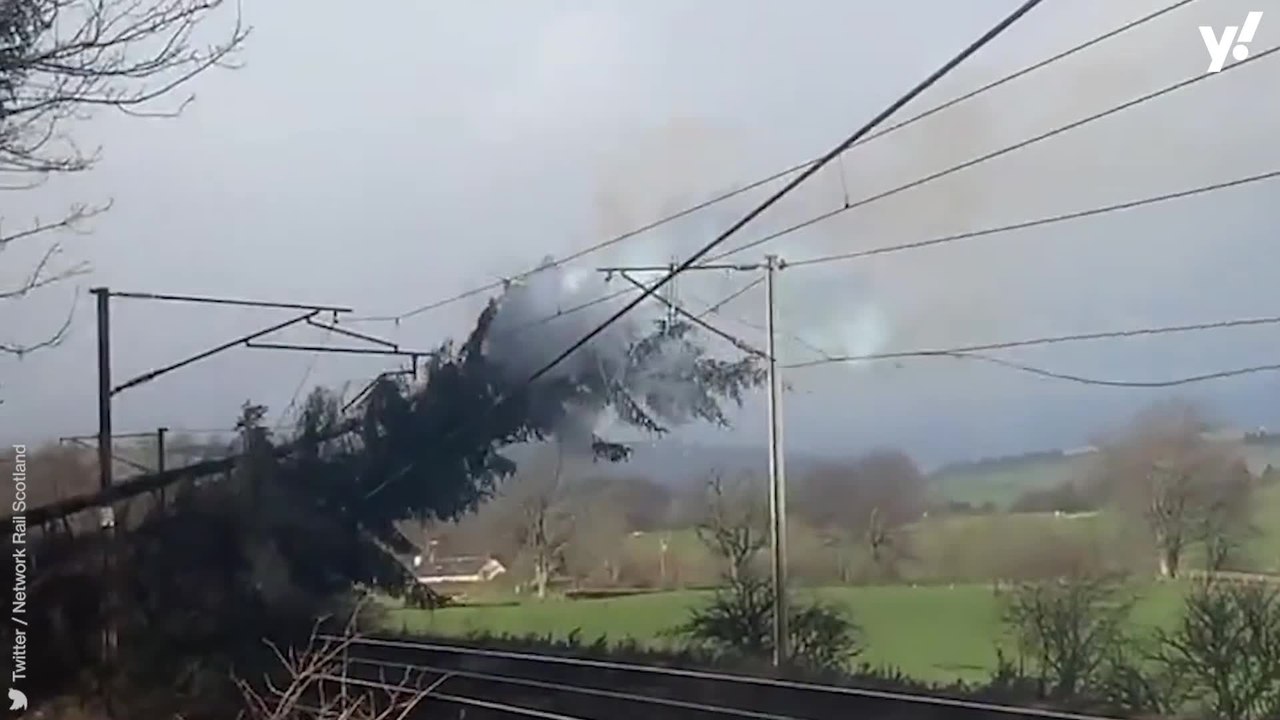 Tree bursts into flames after falling onto railway power line in storm winds
