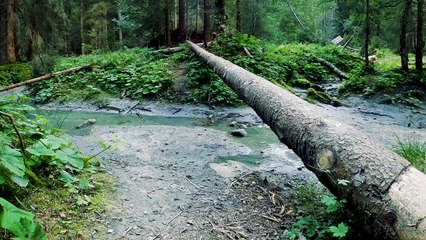 Soluzioni hi-tech e radar contro il rischio voragini in città