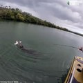 Crocodile Steals Shark Off Fisherman's Line