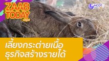 เลี้ยงกระต่ายเนื้อ ธุรกิจสร้างรายได้ : แซ่บทูเดย์ (18 ก.พ. 65) OnAir