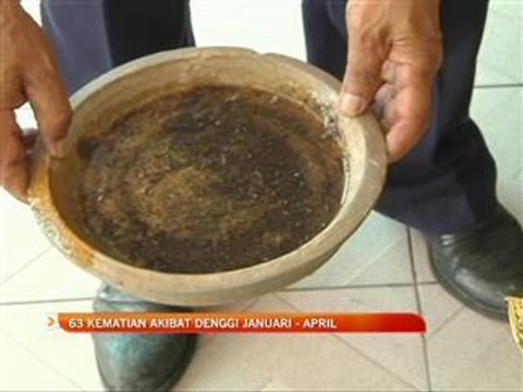 63 kematian akibat denggi Januari-April