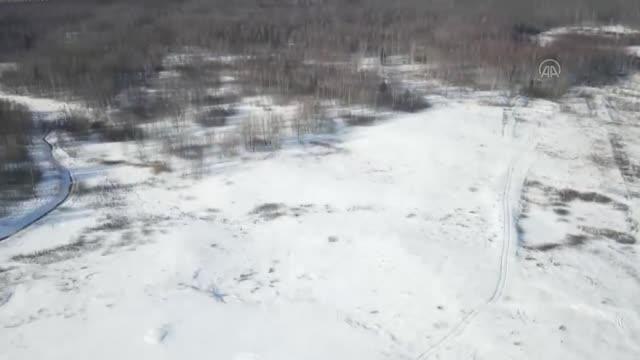 Belarus ve Rusya'nın Müttefik Kararlılığı-2022 ortak askeri tatbikatı devam ediyor