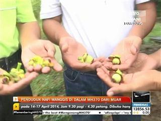 Penduduk nafi manggis di dalam MH370 dari Muar