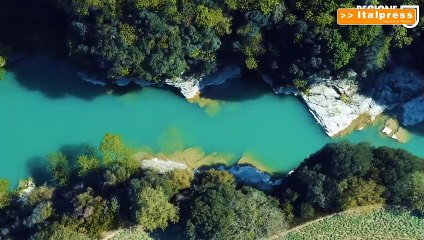 Nasce il portale unico del tartufo delle Marche