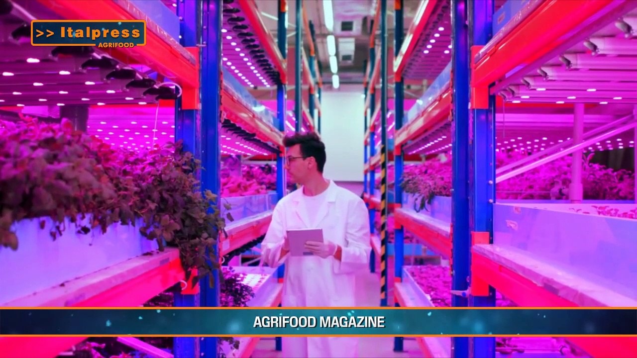 Agrifood Magazine - 6/10/2021