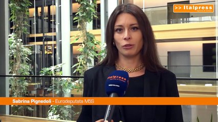 Pandora Papers, Pignedoli: "Unione fiscale possibile soluzione"