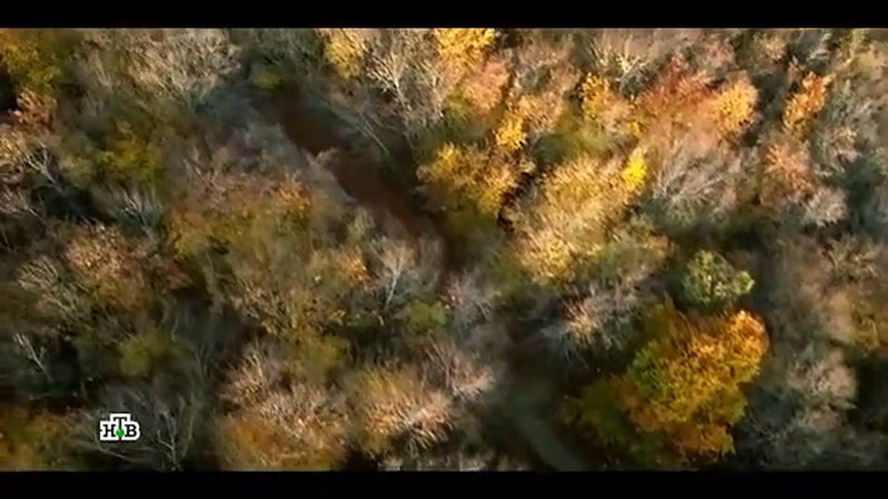 Золото - 14 серия