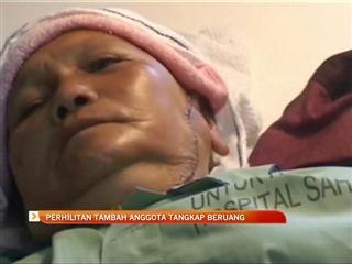 Perhilitan tambah anggota tangkap beruang