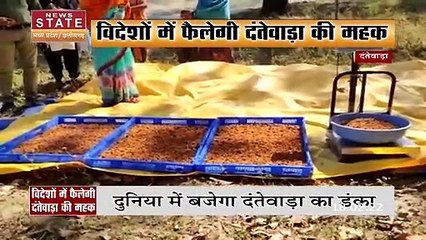 Chhattisgarh News: लंदन पहुंचेगा दंतेवाड़ा का महुआ, रोजगार के क्षेत्र में सरकार की अनोखी पहल