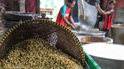 Harga Kedelai Naik, DPR Minta Pemerintah Lakukan Ini!