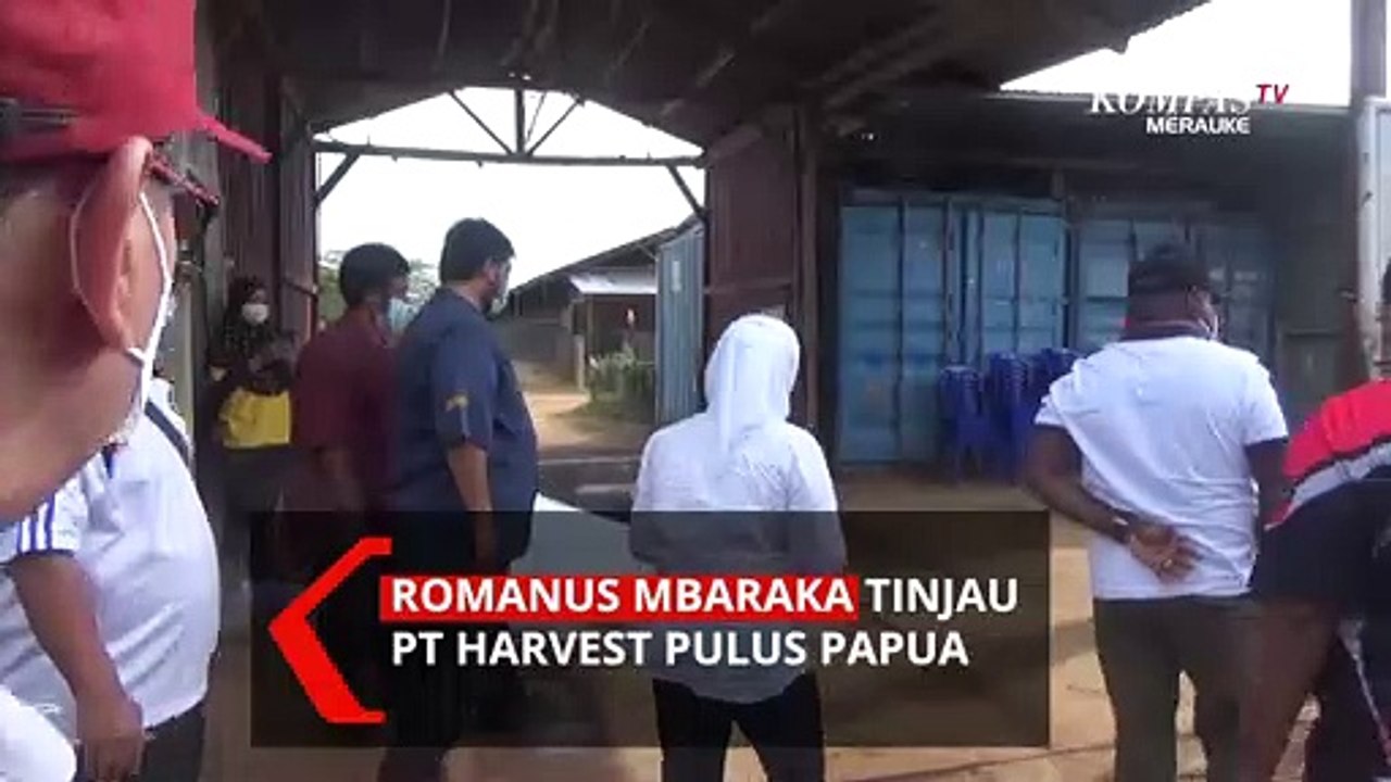 Romanus Mbaraka Tinjau Kandang Ayam Milik PT Harvest Pulus Papua
