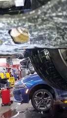 Mechanic Finds Furry Stowaway